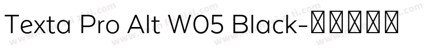 Texta Pro Alt W05 Black字体转换